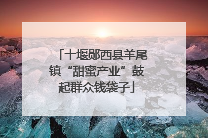 十堰郧西县羊尾镇“甜蜜产业”鼓起群众钱袋子