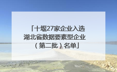 十堰27家企业入选湖北省数据要素型企业（第二批）名单