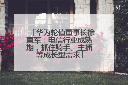 华为轮值董事长徐直军：电信行业成熟期，抓住骑手、主播等成长型需求