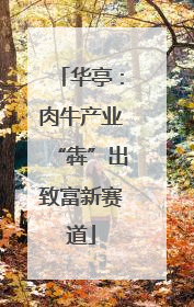 华亭：肉牛产业“犇”出致富新赛道