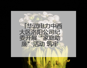 华润电力中西大区洛阳公司纪委开展“家庭助廉”活动 筑牢廉洁防线