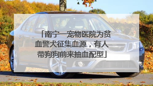 南宁一宠物医院为贫血警犬征集血源，有人带狗狗前来抽血配型