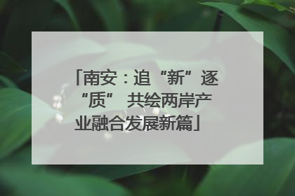 南安：追“新”逐“质” 共绘两岸产业融合发展新篇