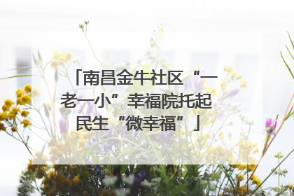 南昌金牛社区“一老一小”幸福院托起民生“微幸福”