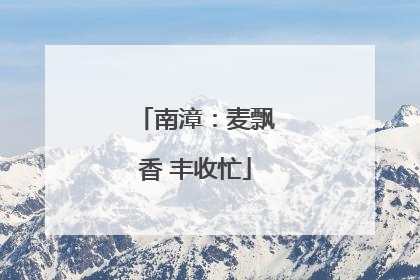 南漳：麦飘香 丰收忙