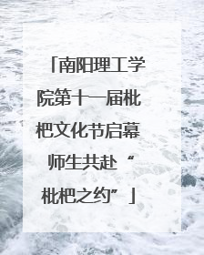 南阳理工学院第十一届枇杷文化节启幕 师生共赴“枇杷之约”