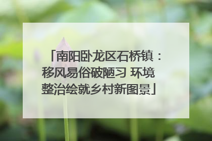 南阳卧龙区石桥镇：移风易俗破陋习 环境整治绘就乡村新图景