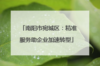 南阳市宛城区：精准服务助企业加速转型