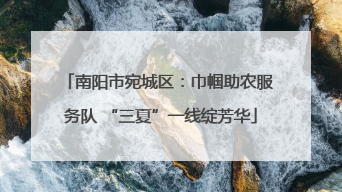 南阳市宛城区：巾帼助农服务队 “三夏”一线绽芳华