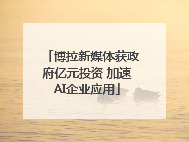 博拉新媒体获政府亿元投资 加速AI企业应用