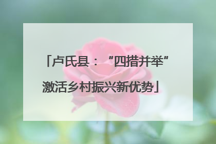 卢氏县：“四措并举”激活乡村振兴新优势