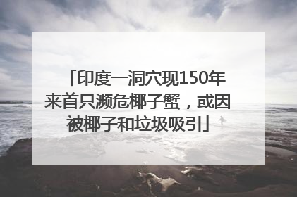 印度一洞穴现150年来首只濒危椰子蟹，或因被椰子和垃圾吸引