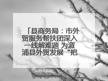 县商务局：市外贸服务帮扶团深入一线解难题 为溆浦县外贸发展“把脉问诊”