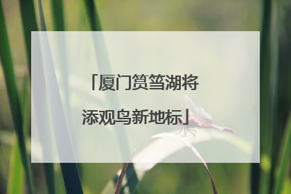 厦门筼筜湖将添观鸟新地标