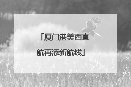 厦门港美西直航再添新航线