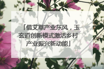 借艾草产业东风，玉玄道创新模式激活乡村产业振兴新动能