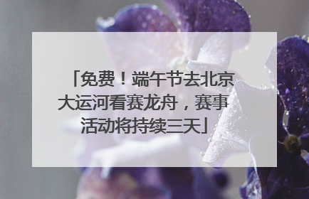 免费！端午节去北京大运河看赛龙舟，赛事活动将持续三天