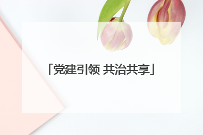 党建引领 共治共享