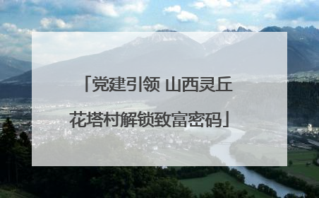 党建引领 山西灵丘花塔村解锁致富密码