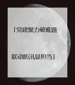 党建聚力破难题 联动防汛显担当
