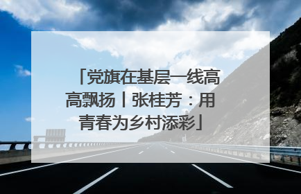 党旗在基层一线高高飘扬丨张桂芳：用青春为乡村添彩
