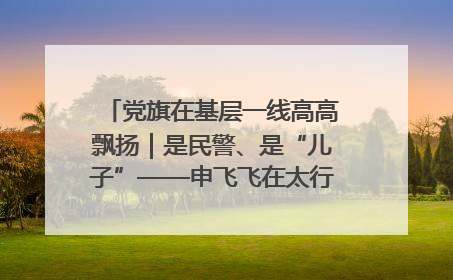 党旗在基层一线高高飘扬｜是民警、是“儿子”——申飞飞在太行山中的一线坚守