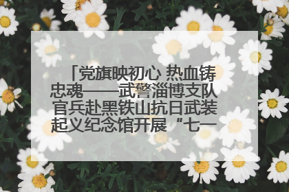 党旗映初心 热血铸忠魂——武警淄博支队官兵赴黑铁山抗日武装起义纪念馆开展“七一”主题党日活动