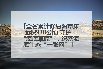 全省累计修复海草床面积938公顷 守护“海底草原”，织密海底生态“一张网”