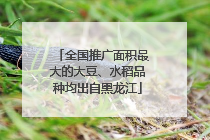 全国推广面积最大的大豆、水稻品种均出自黑龙江