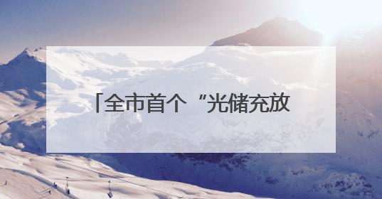 全市首个“光储充放检”示范站正式启用