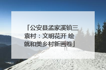 公安县孟家溪镇三袁村：文明花开 绘就和美乡村新画卷