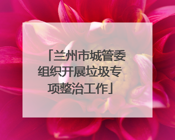 兰州市城管委组织开展垃圾专项整治工作
