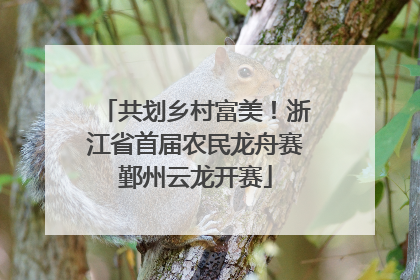 共划乡村富美！浙江省首届农民龙舟赛鄞州云龙开赛