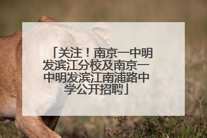 关注！南京一中明发滨江分校及南京一中明发滨江南浦路中学公开招聘