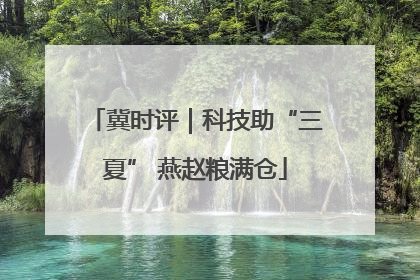 冀时评｜科技助“三夏” 燕赵粮满仓