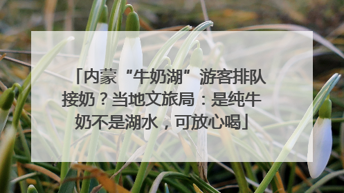 内蒙“牛奶湖”游客排队接奶？当地文旅局：是纯牛奶不是湖水，可放心喝