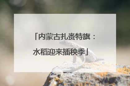 内蒙古扎赉特旗：水稻迎来插秧季