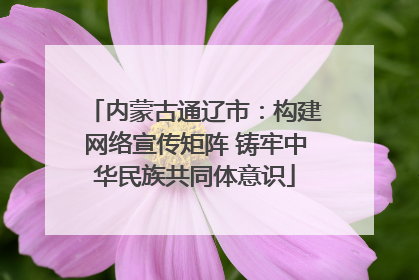内蒙古通辽市：构建网络宣传矩阵 铸牢中华民族共同体意识