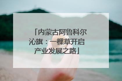 内蒙古阿鲁科尔沁旗：一棵草开启产业发展之路