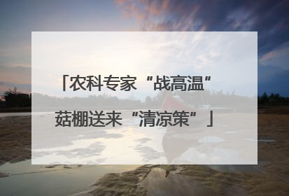 农科专家“战高温” 菇棚送来“清凉策”