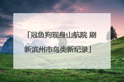 冠鱼狗现身山航院 刷新滨州市鸟类新纪录