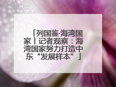 列国鉴·海湾国家丨记者观察：海湾国家努力打造中东“发展样本”