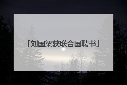 刘国梁获联合国聘书
