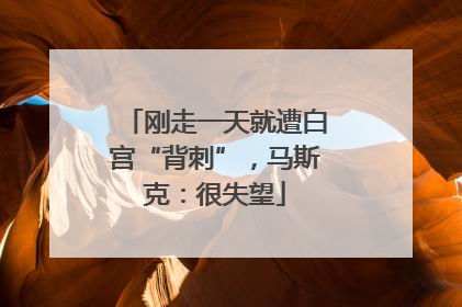刚走一天就遭白宫“背刺”，马斯克：很失望