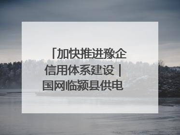 加快推进豫企信用体系建设｜国网临颍县供电公司开展电力行业信用企业现场咨询访谈工作