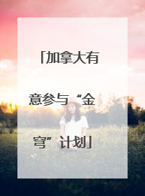 加拿大有意参与“金穹”计划