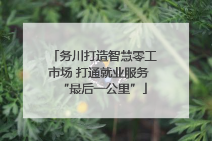 务川打造智慧零工市场 打通就业服务“最后一公里”