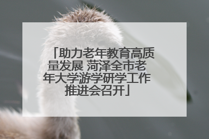 助力老年教育高质量发展 菏泽全市老年大学游学研学工作推进会召开
