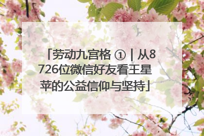 劳动九宫格 ①｜从8726位微信好友看王星苹的公益信仰与坚持