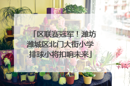 区联赛冠军！潍坊潍城区北门大街小学排球小将扣响未来
